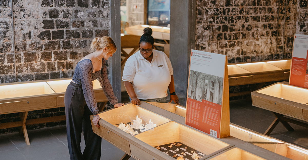 Raising Awareness for Seashell Conservation