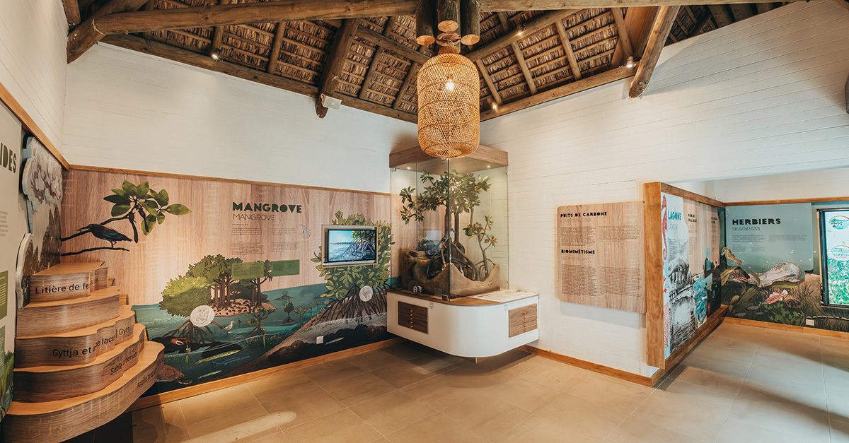 Rogers Hospitality opens the first Marine Education Centre in Bel Ombre